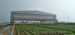 3.12植樹節(jié)，人人參與—靖起起重機(jī)生產(chǎn)廠家